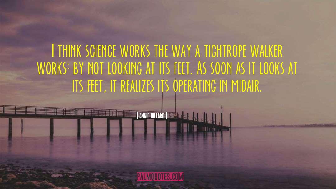 Science Denial quotes by Annie Dillard