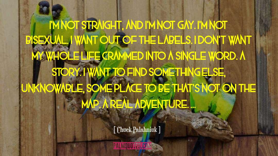 Scifi Adventure quotes by Chuck Palahniuk