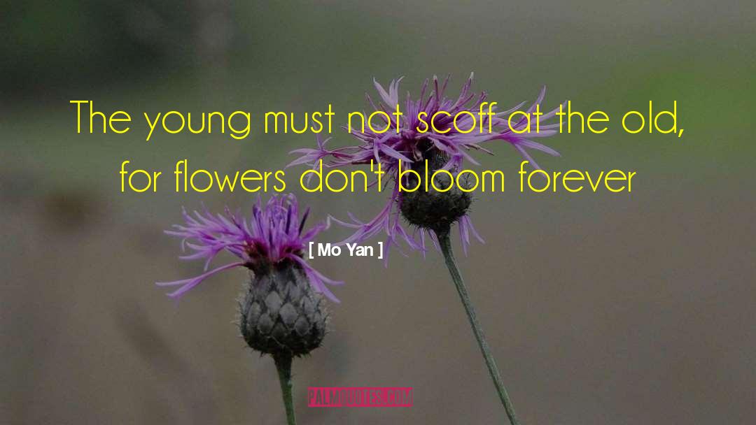 Scoff quotes by Mo Yan