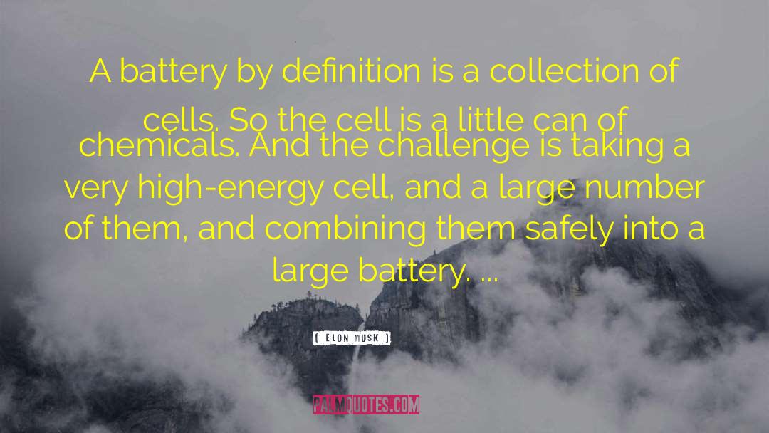 Scogins Battery quotes by Elon Musk