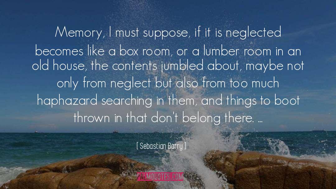 Scope Neglect quotes by Sebastian Barry