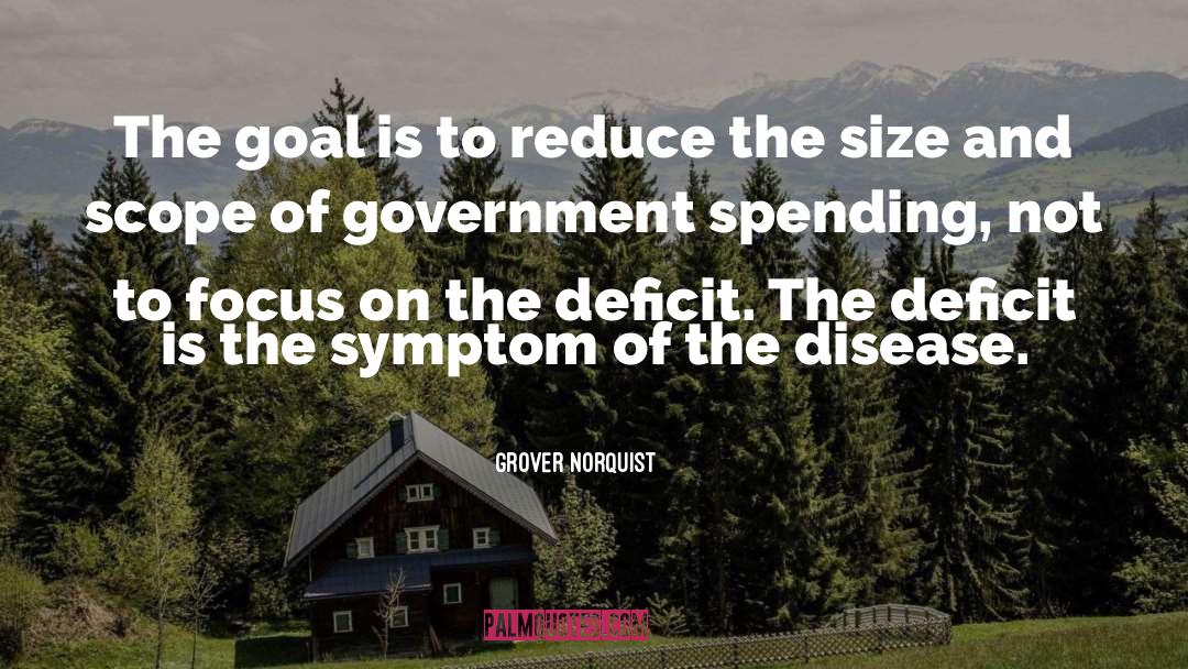 Scope Of Government quotes by Grover Norquist