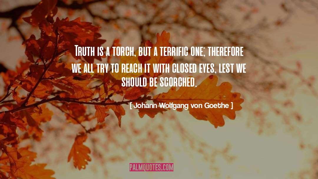 Scorched quotes by Johann Wolfgang Von Goethe