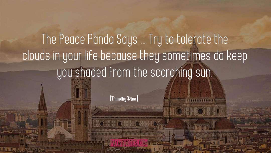 Scorching quotes by Timothy Pina