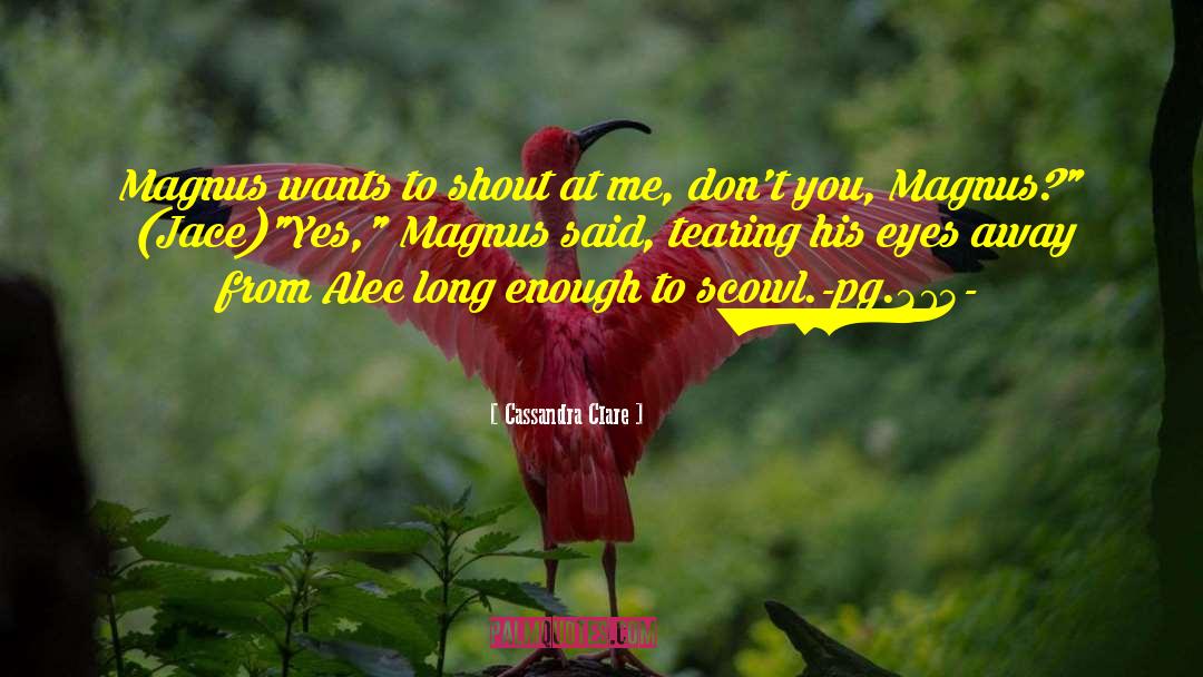 Scowl quotes by Cassandra Clare