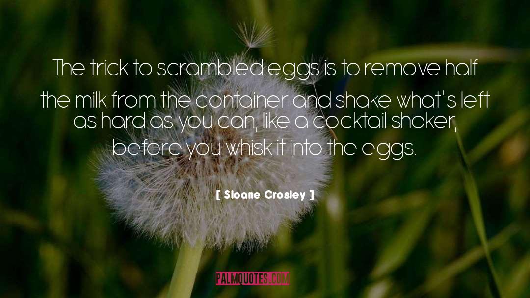 Scrambled Eggs quotes by Sloane Crosley