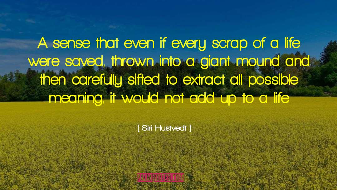 Scrap Metal quotes by Siri Hustvedt