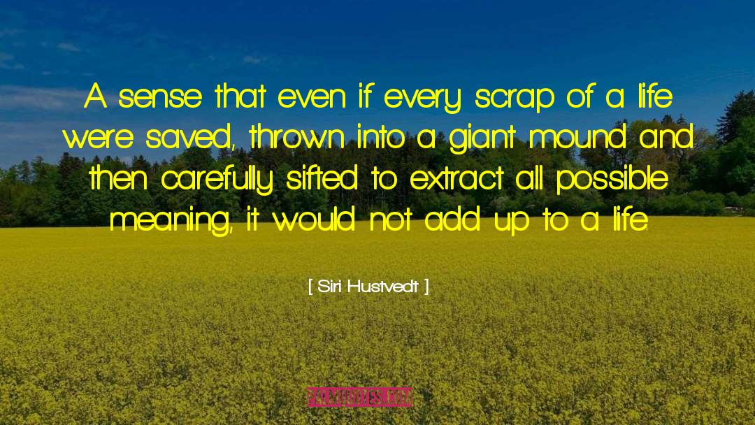 Scrap quotes by Siri Hustvedt