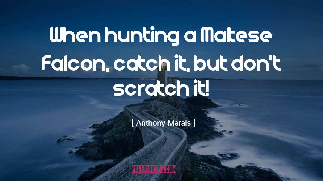 Scratch quotes by Anthony Marais