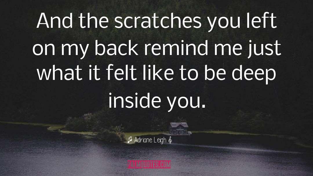 Scratches quotes by Adriane Leigh