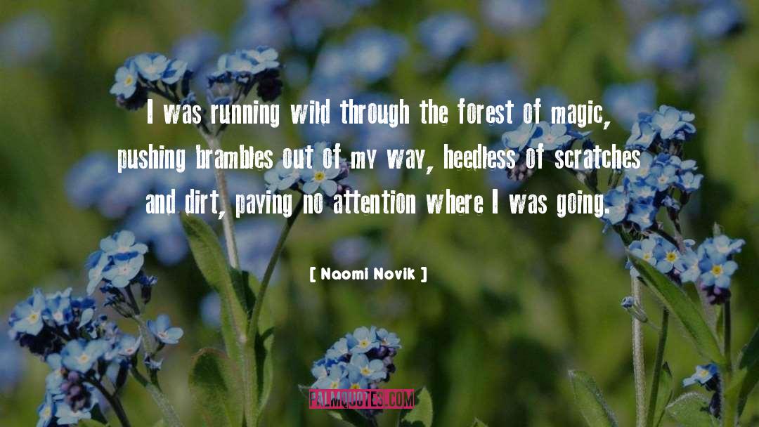 Scratches quotes by Naomi Novik
