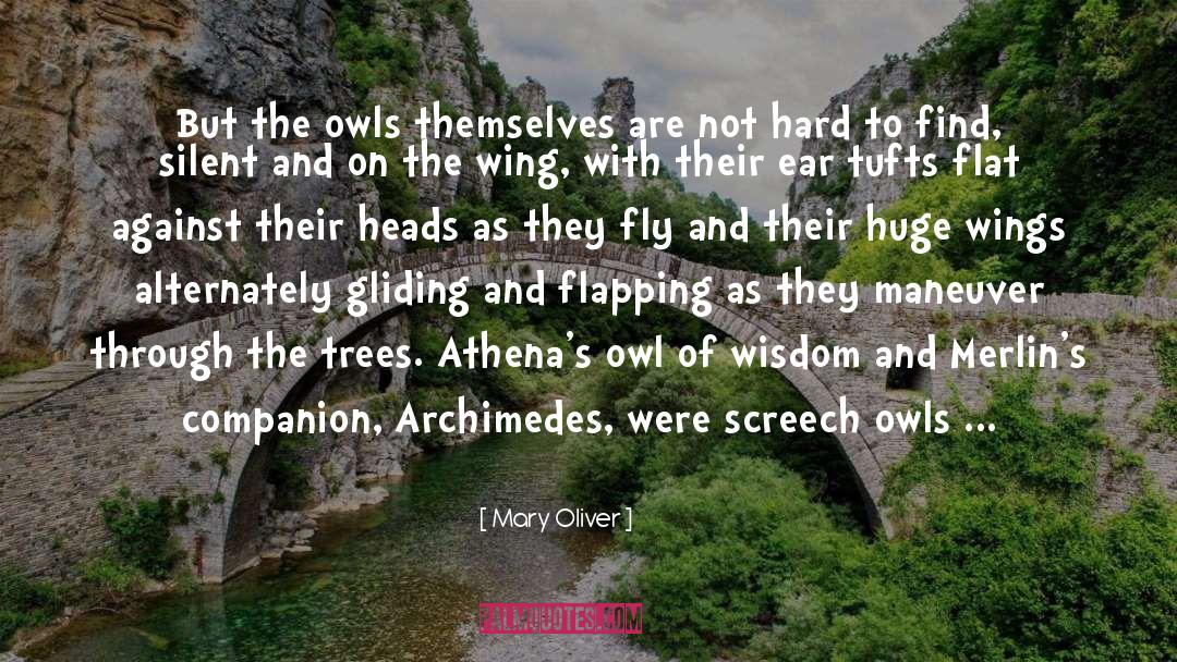 Screech Owls quotes by Mary Oliver