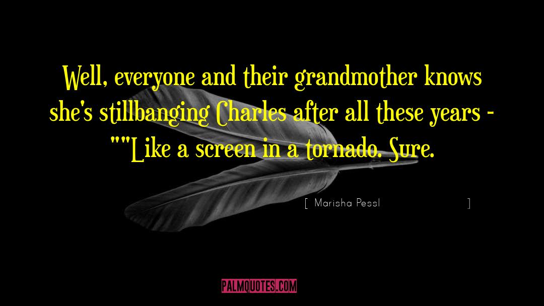 Screen Savers quotes by Marisha Pessl