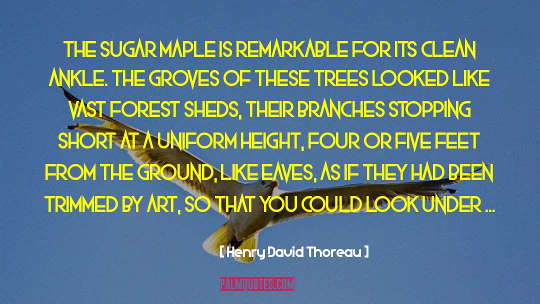 Screenings At The Grove quotes by Henry David Thoreau