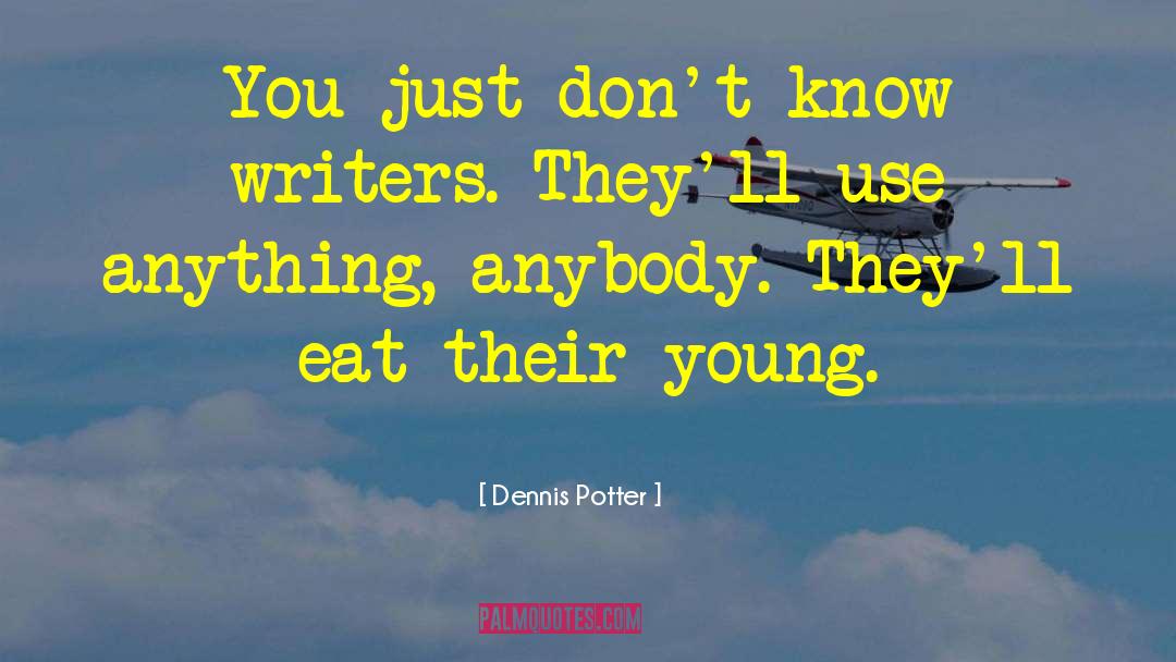 Screenplay Writing quotes by Dennis Potter