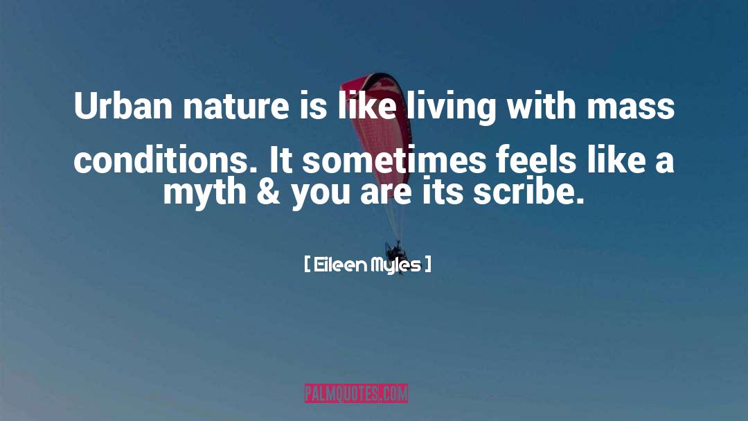 Scribes quotes by Eileen Myles