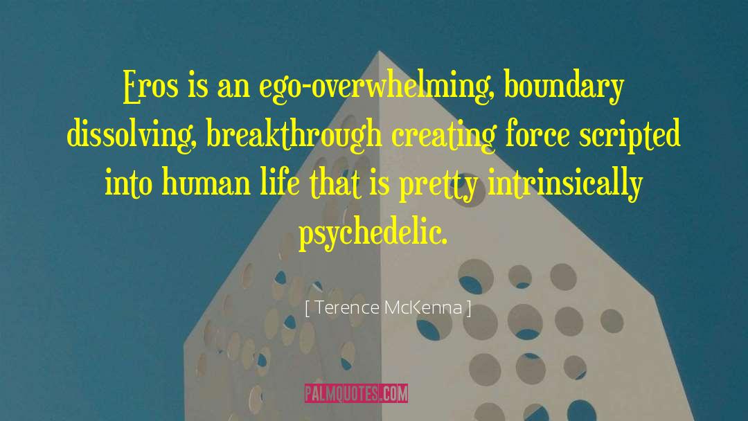 Scripted quotes by Terence McKenna