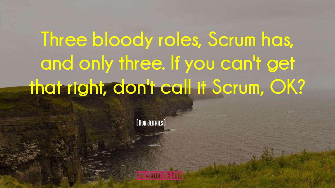 Scrum quotes by Ron Jeffries
