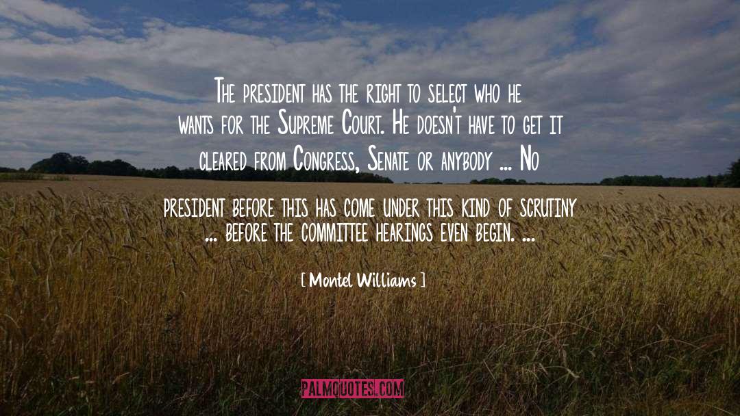 Scrutiny quotes by Montel Williams