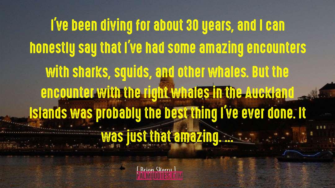 Scuba Diving quotes by Brian Skerry