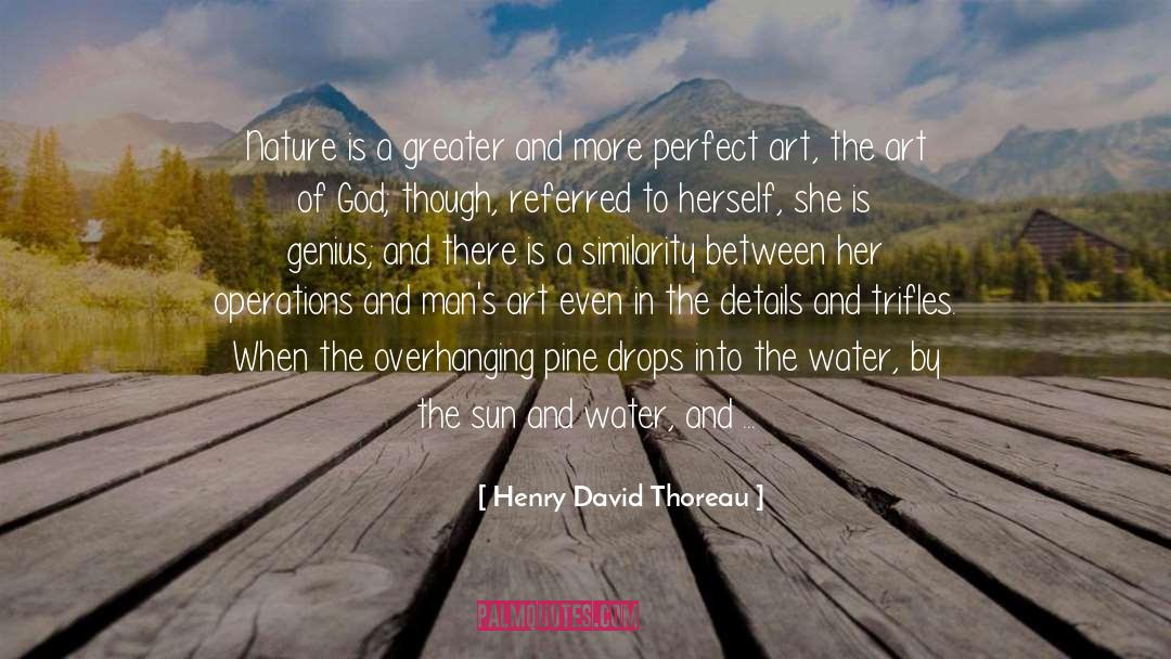 Scunner Drops quotes by Henry David Thoreau