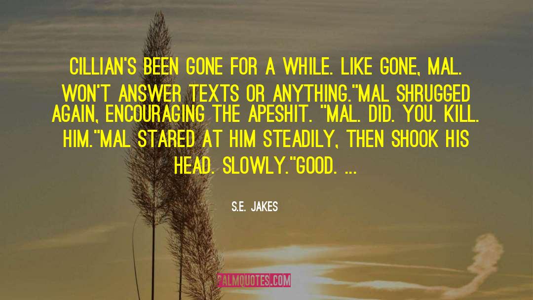 Se Jakes quotes by S.E. Jakes