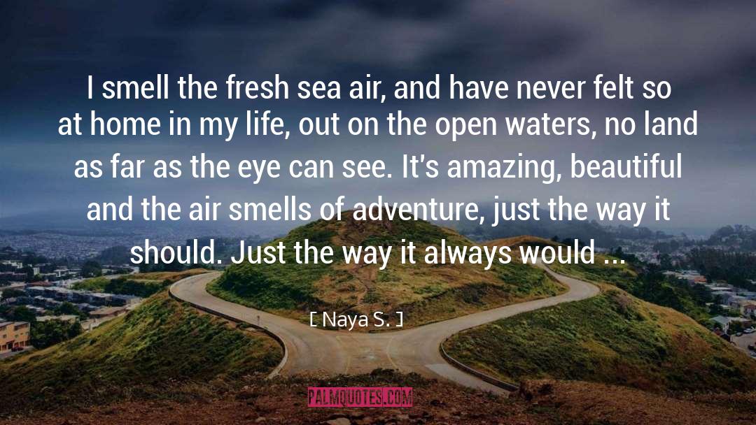 Sea Air quotes by Naya S.