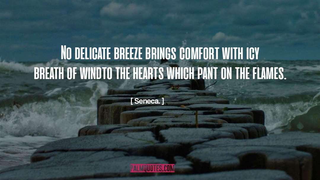 Sea Breeze quotes by Seneca.