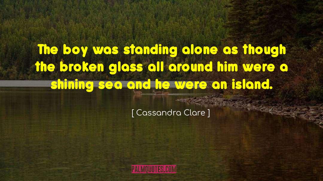 Sea Glass Hunter S Handbook quotes by Cassandra Clare