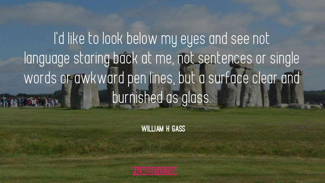 Sea Glass quotes by William H Gass