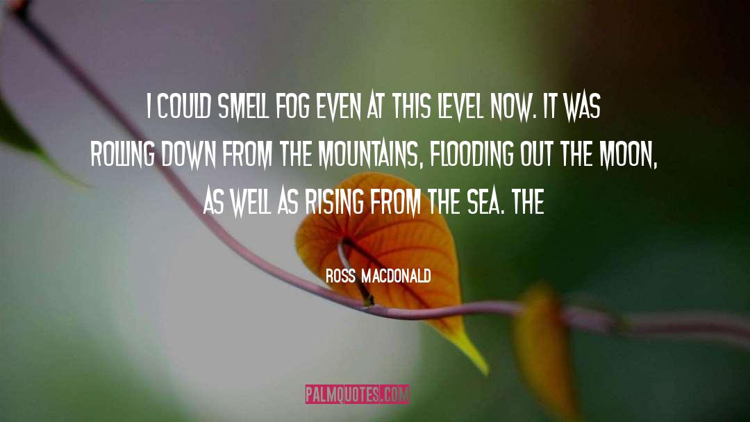 Sea Level Rise quotes by Ross Macdonald