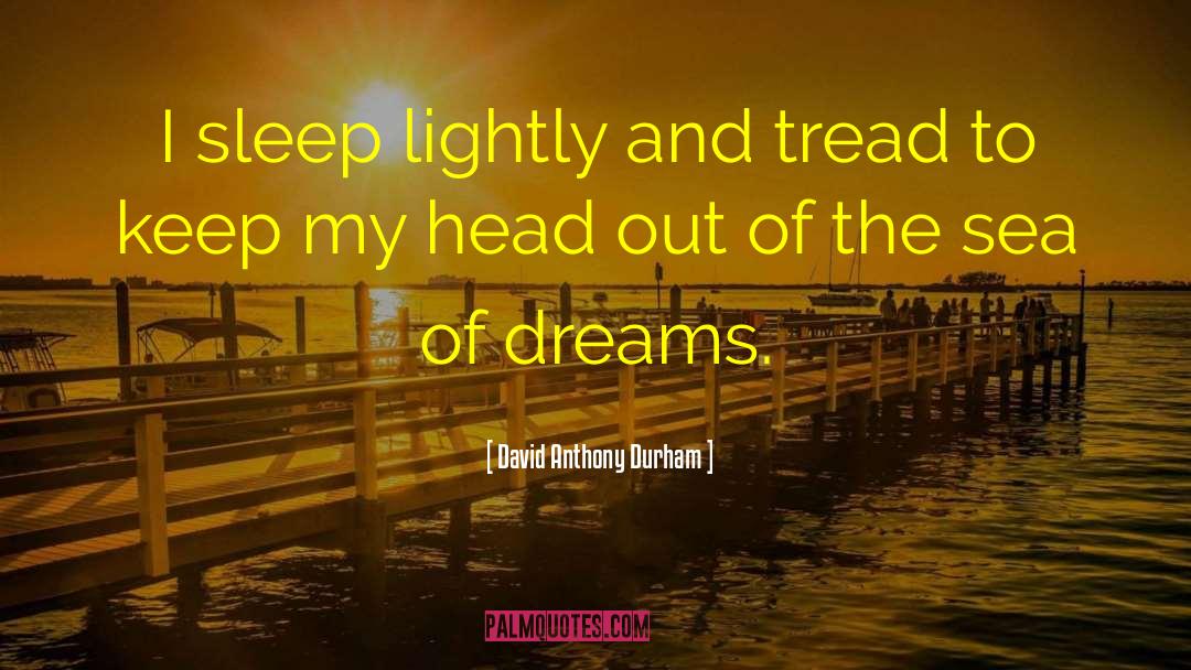 Sea Of Dreams quotes by David Anthony Durham
