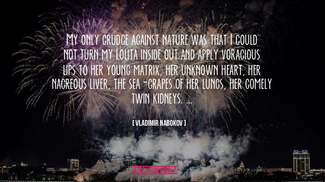 Sea Of Dreams quotes by Vladimir Nabokov