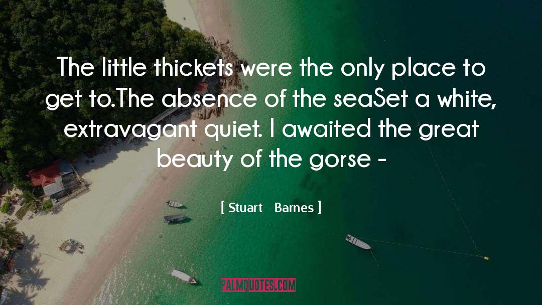 Sea Of Glory quotes by Stuart   Barnes