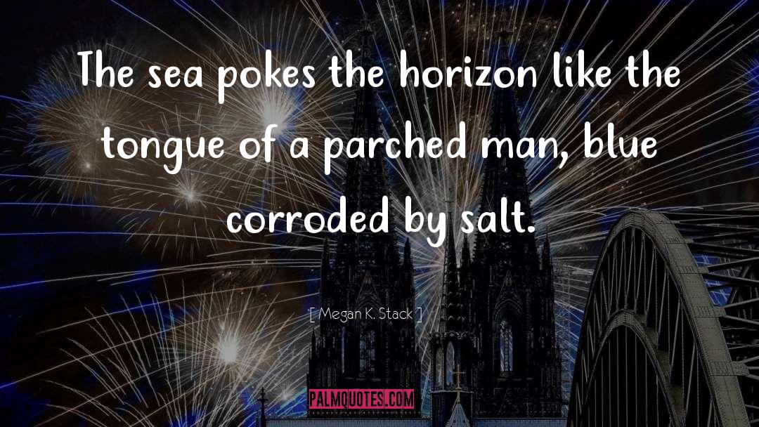 Sea Salt Cakes quotes by Megan K. Stack