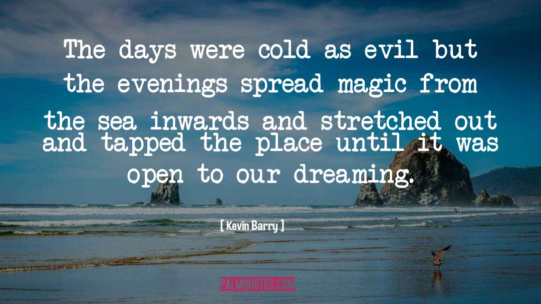 Sea Sand quotes by Kevin Barry
