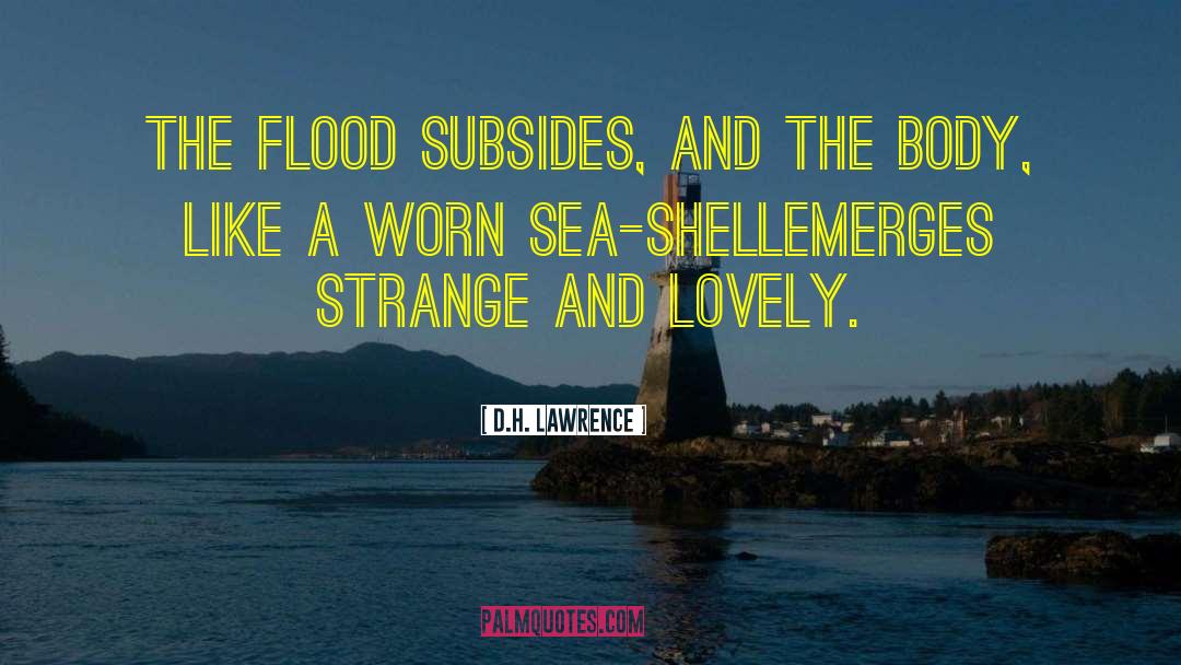 Sea Shell quotes by D.H. Lawrence