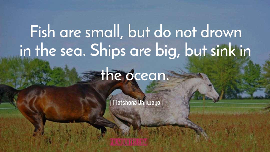 Sea Shell quotes by Matshona Dhliwayo