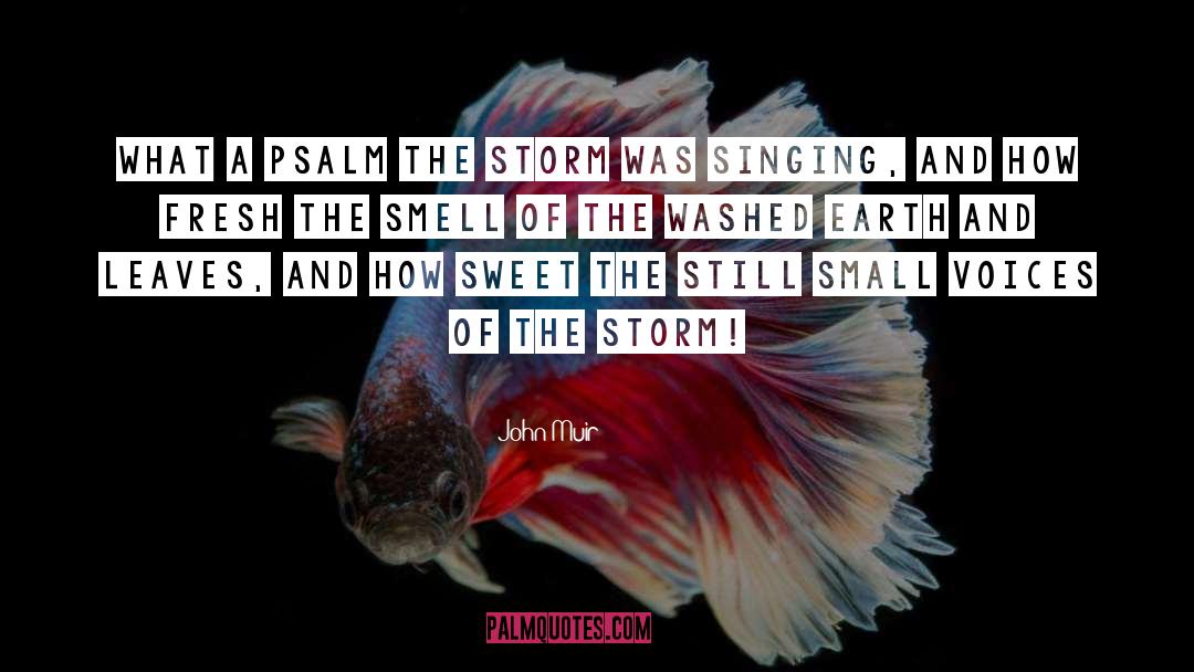 Sea Storm quotes by John Muir