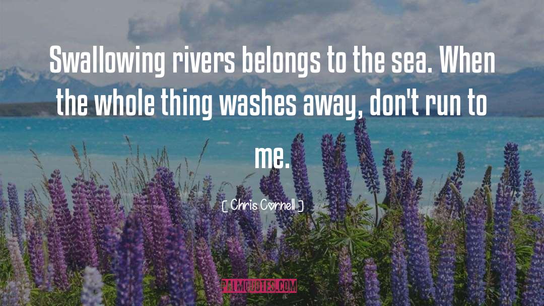 Sea Travel quotes by Chris Cornell
