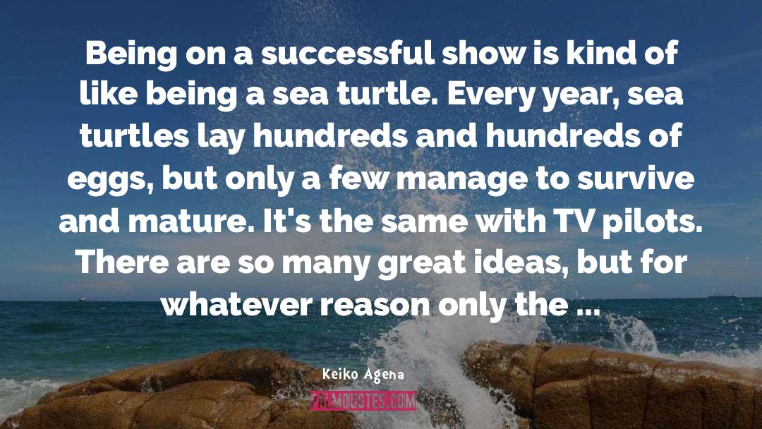 Sea Turtles quotes by Keiko Agena