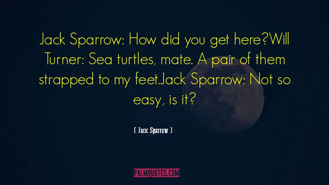 Sea Turtles quotes by Jack Sparrow
