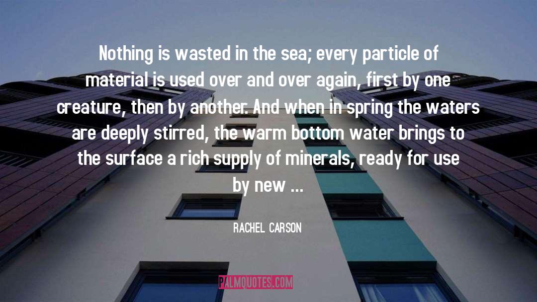 Sea Water quotes by Rachel Carson
