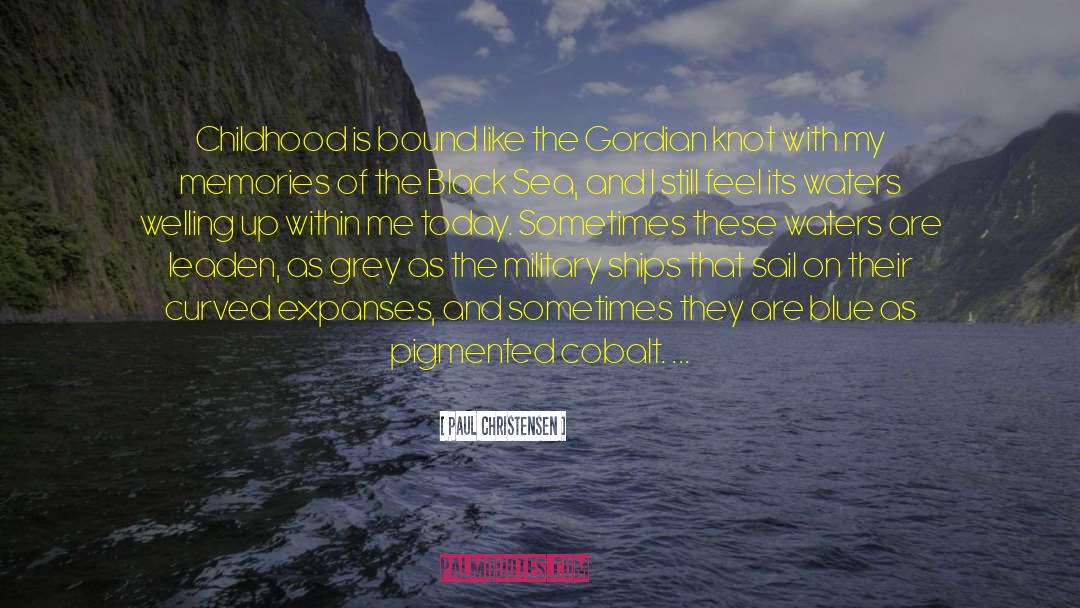 Seabirds quotes by Paul Christensen