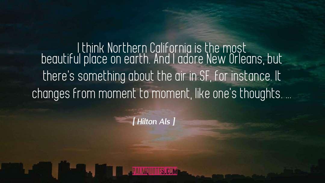 Seacrest Hilton quotes by Hilton Als