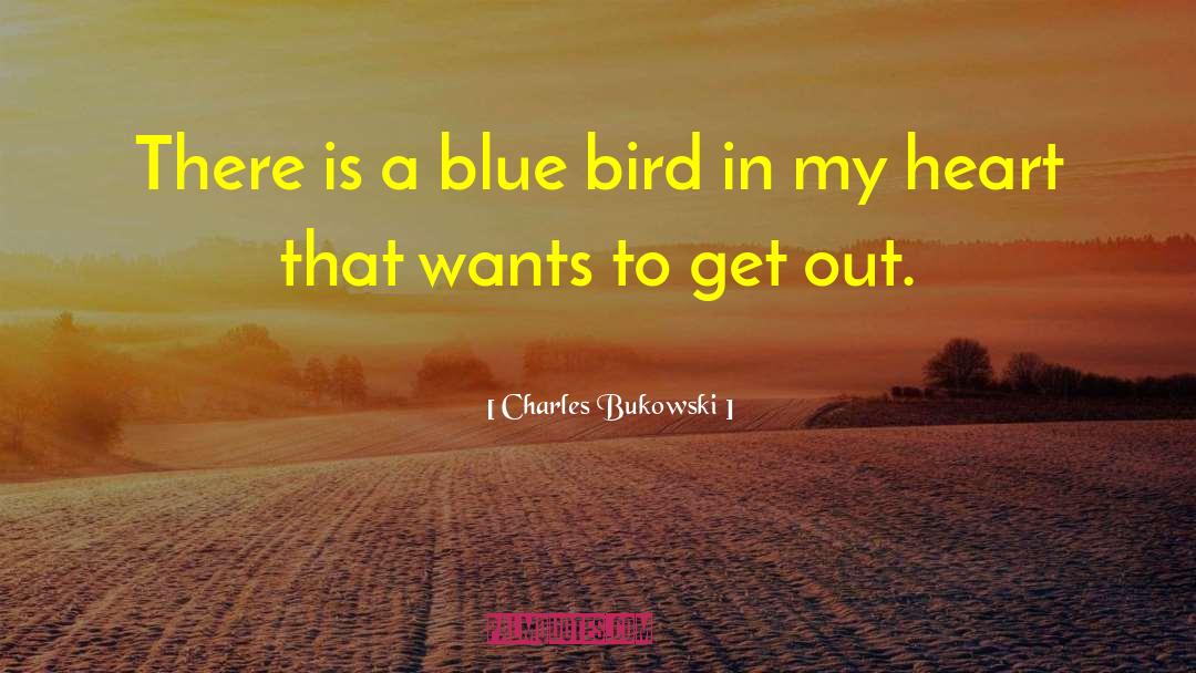 Seagal Bird quotes by Charles Bukowski