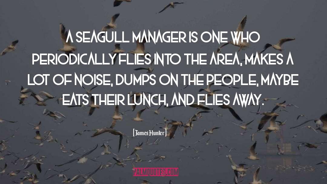 Seagull quotes by James Hunter