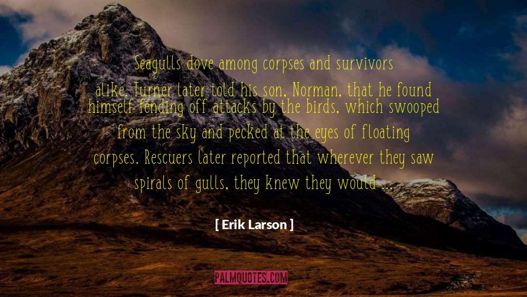 Seagull quotes by Erik Larson