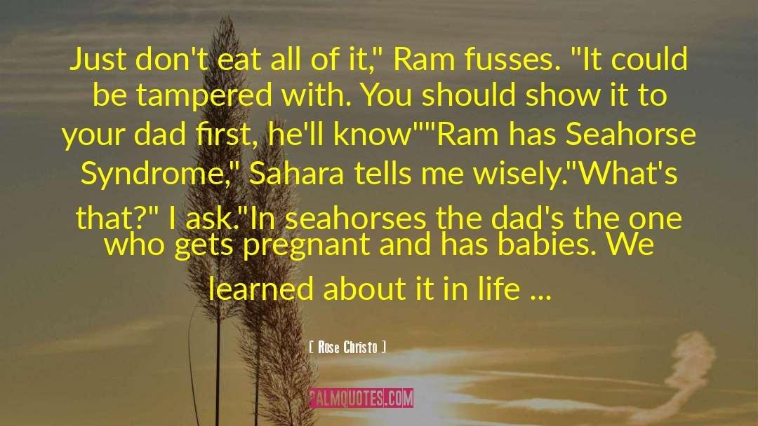 Seahorses quotes by Rose Christo