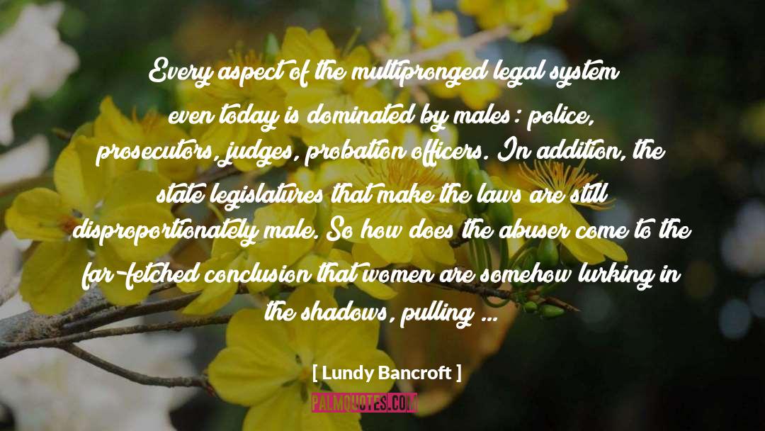Seamer Machine quotes by Lundy Bancroft